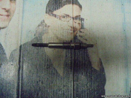 Bujía de precalentamiento Volkswagen 2.5 Renault Scenic II Megane 1.9 0250202022