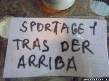 Bisagra de la puerta trasera derecha arriba KIA Sportage JE 104 KW, 141 PS