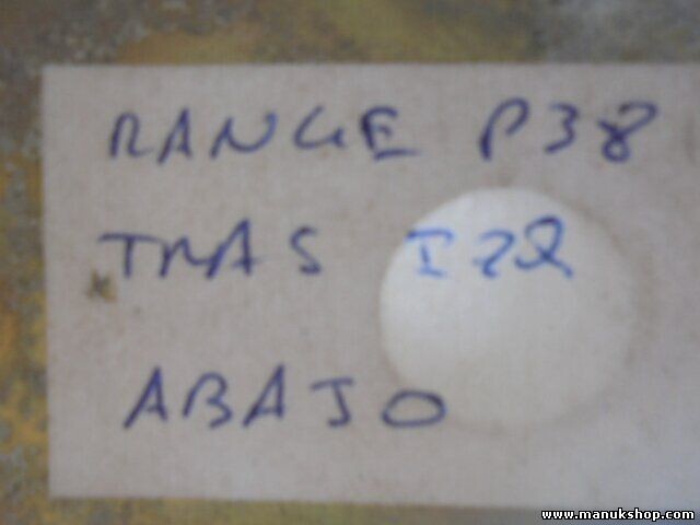 Bisagra de la puerta trasera izquierda abajo Land Rover Range Rover P38