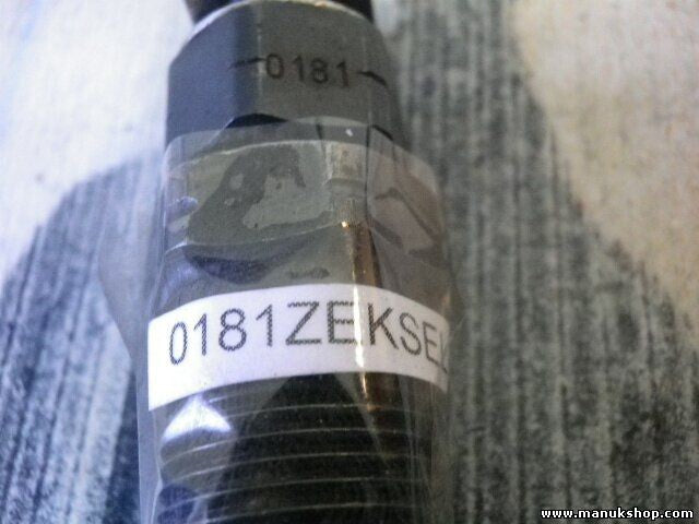 Inyectores Suzuki Grand Vitara 2.0 Td ZEXEL 0181