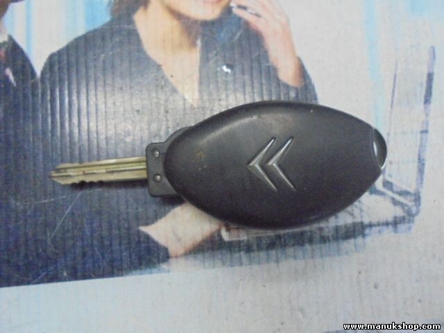 mando control remoto Citroen E16C101E DELPHI PA6-GB20+GF10 CE0523 CE 0523