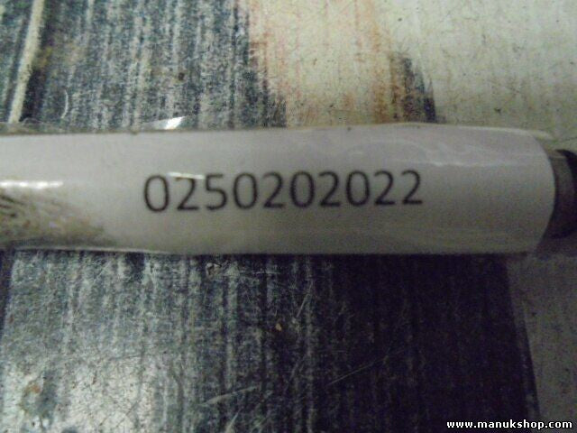 Bujía de precalentamiento Volkswagen 2.5 Renault Scenic II Megane 1.9 0250202022