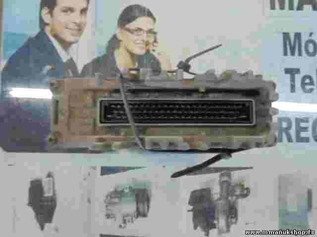 Centralita Renault Megane Scenic 7700109622 7700107088 HOM7700107088 0281001810