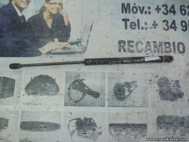 Portón Trasero amortiguador Fiat Bravo 1998 - 2003 7529LY 0320N 7529LY0320N