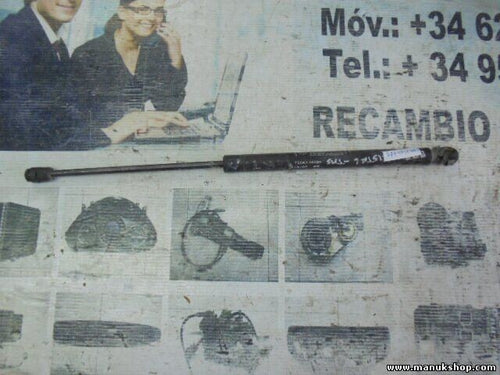 Portón Trasero amortiguador Fiat Bravo 1998 - 2003 7529LY 0320N 7529LY0320N