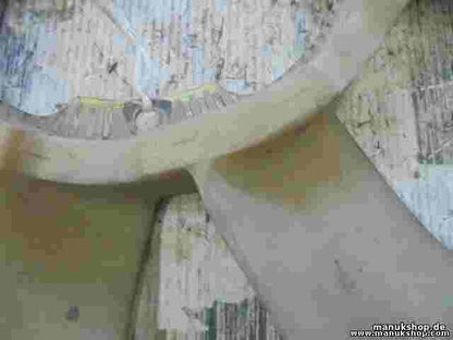 Ventilador del radiador Nissan Patrol GR I Y60 2.8 TD 44505 450-5-4