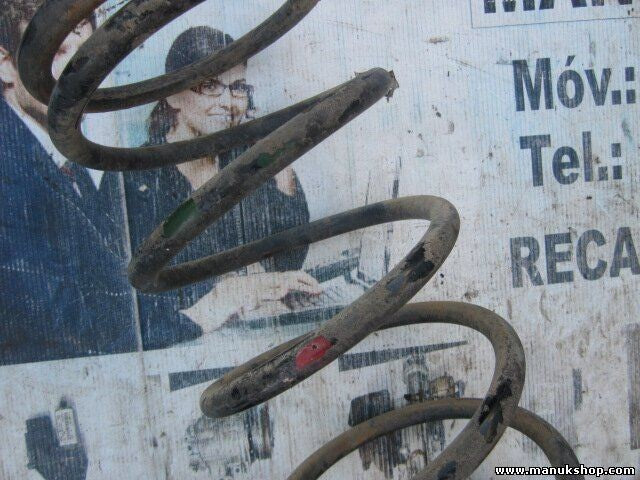 Muelles Mitsubishi Pajero Montero