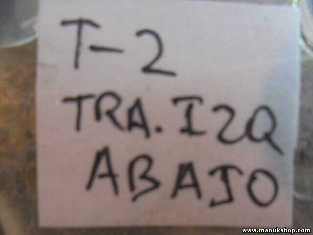 Bisagra de la puerta  trasera izquierda abajo Nissan Terrano II R20  116 PS