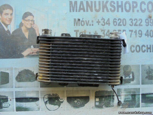 Radiador de intercooler Mitsubishi Galloper 2.5 TD GLS HR140101 140101 UD1A441