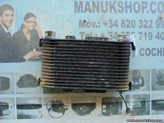 Radiador de intercooler Mitsubishi Galloper 2.5 TD GLS HR140101 140101 UD1A441