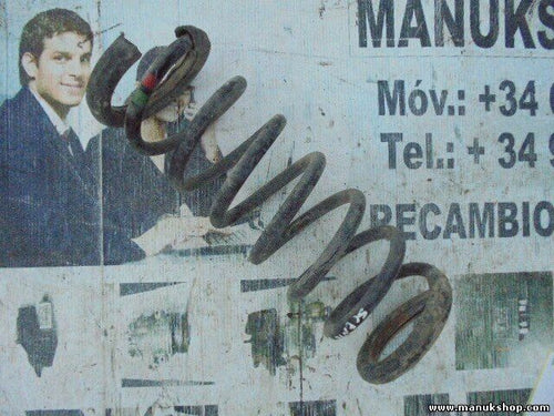 Muelles Renault Scenic I 1.9 DCi XX4