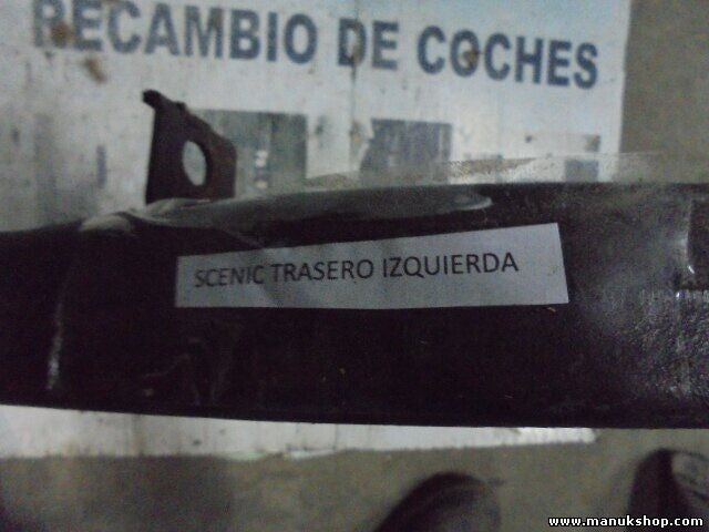 Brazo de suspensión trasera izquierda Renault Scenic I 1.9 DCi RX4 600281