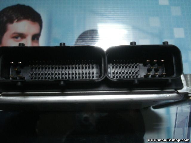 Centralita del motor Hyundai Starex 391004A010 BOSCH 0281010948 0 281 010 948