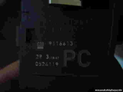 Conmutador de luces  Opel Corsa GM 9116613 0524119