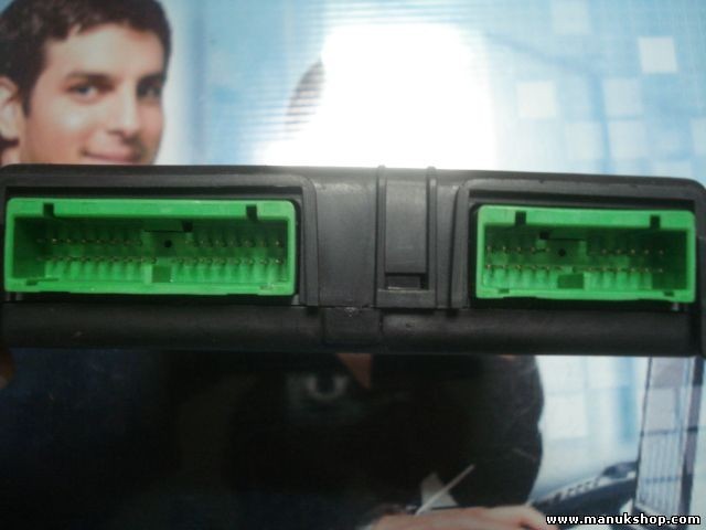 Centralita Velocidad de la unidad de control Renault AE 171D008248P 05401215