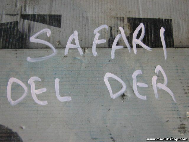 Cristal puerta delantera derecha TATA Safari 43R001264 43R-001264 TP M33 E2