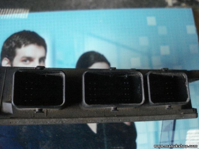 Centralita del motor Renault Kangoo DELPHI TRW 8200331477 8200284277 R0410C081A