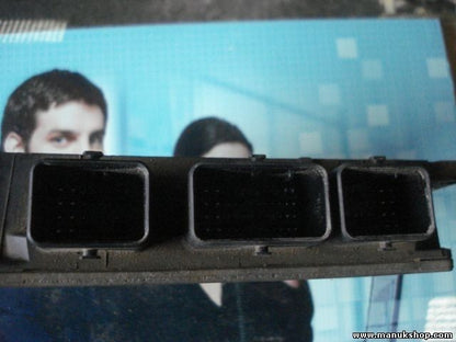 Centralita del motor Renault Kangoo DELPHI TRW 8200331477 8200284277 R0410C081A