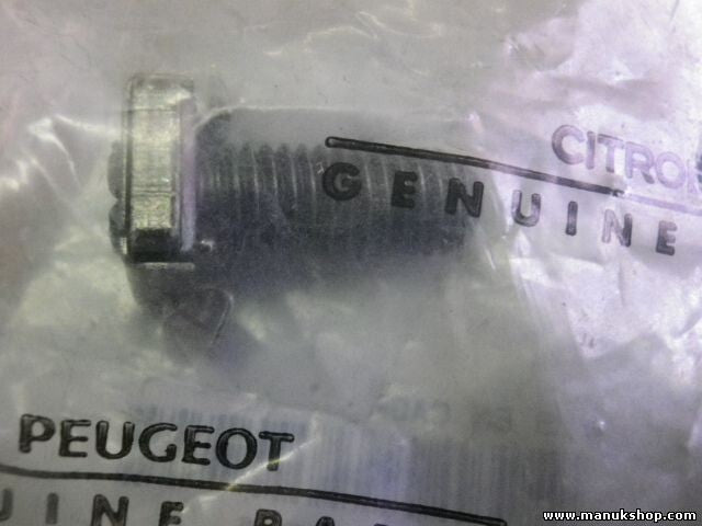 Citroen Peugeot 698421 6984.21