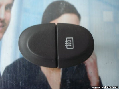 Interruptor Luneta Trasera Desempañador Renault Megane Scenic DAV 432965B