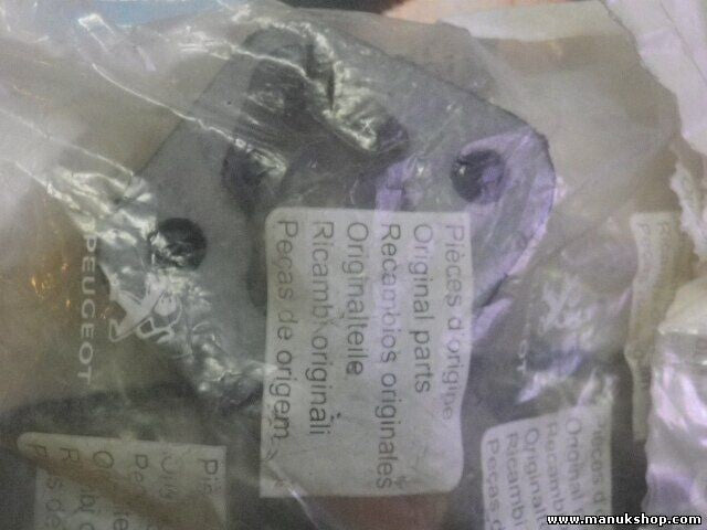 Titular Citroen Peugeot 1755 53 175553