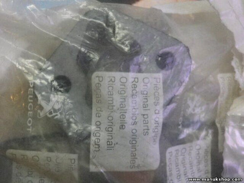 Titular Citroen Peugeot 1755 53 175553