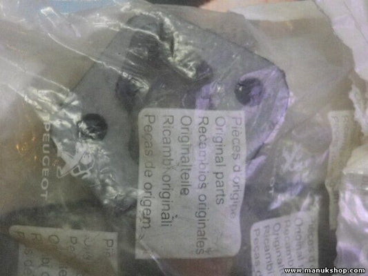 Titular Citroen Peugeot 1755 53 175553