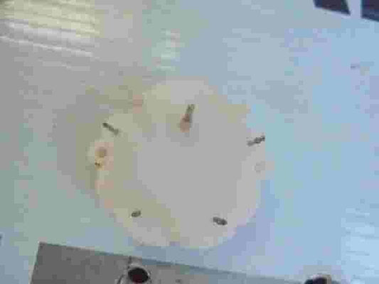 Motor Velocímetro Renault Master Nissan Interstar Opel Movano GTI21657327-5