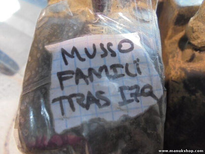 Pilotos trasero izquierdo SsangYong Musso Korando (K4) Family 2.5 736510032000