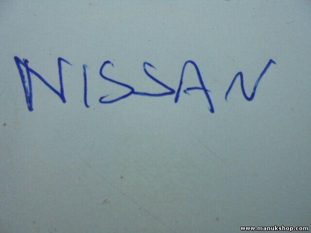 Muelles Nissan Terrano Patrol X-Trail King Cab Navara