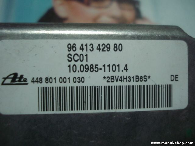 Sensor guiñada Peugeot 206 448801001030 448 801 001 030 10098511014
