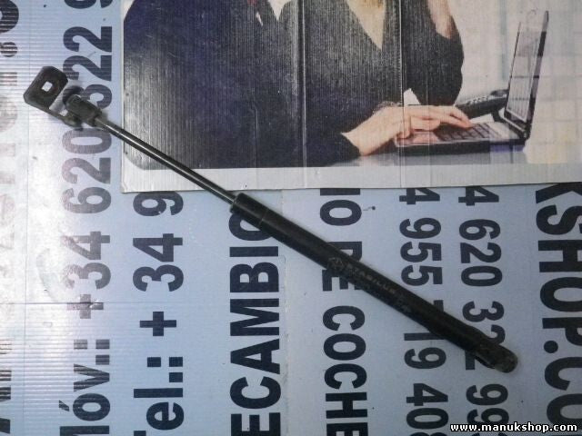 Portón Trasero amortiguador Jeep Grand Cherokee 44831A 44831-A 68025357AA 4709YV