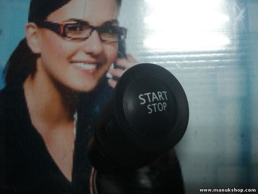 Interruptor Renault Scenic 2 Megane 107838E 27934 2793402 43009