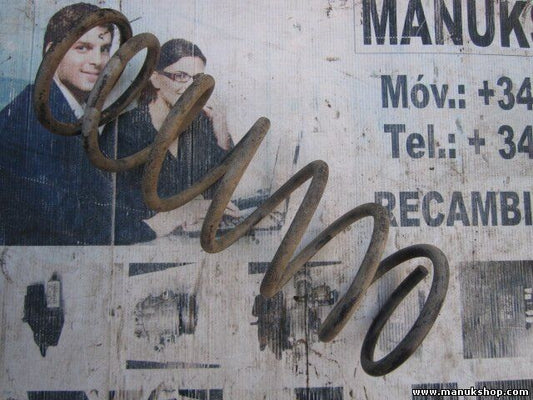 Muelles Land Rover Discovery TD5 HWS4389 HWS 4389