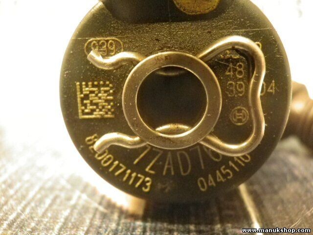 Inyector Renault Opel Nissan 8200171173 BOSCH 0445110144 0 445 110 144