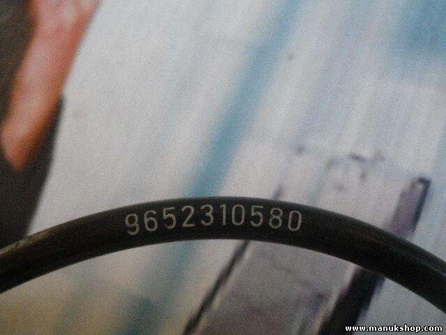 Sensor velocidad revoluciones de la rueda Citroen C4 Peugeot 307 9652310580