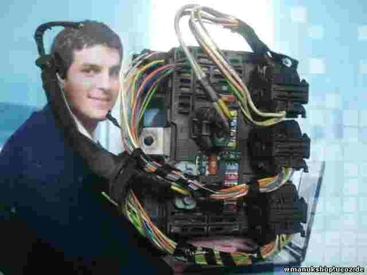 Scatola fusibili relè Citroen C5 BSM-L06-00 9656086580 SIEMENS S118983006J