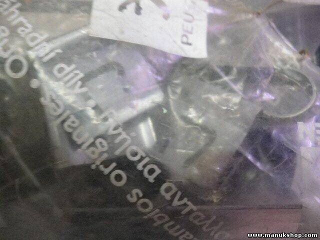 Citroen Peugeot 213806 2138.06