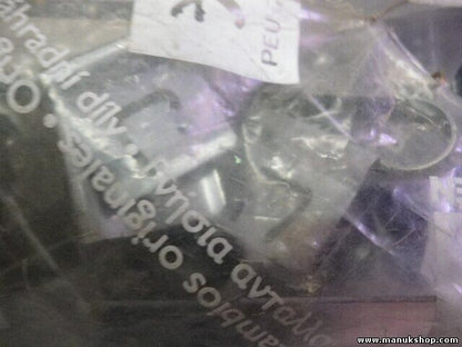 Citroen Peugeot 213806 2138.06