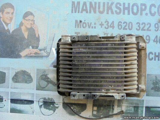 Radiador de intercooler Mitsubishi Pajero Montero 2.5 TD GLS 1982-1990 MD139359