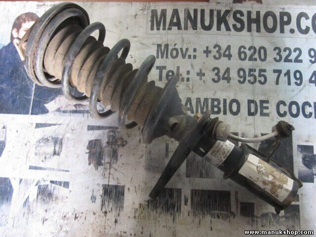 Amortiguador Land Rover Freelander 2.0 td4 16V 1997-2006 22103890PA  RND104971