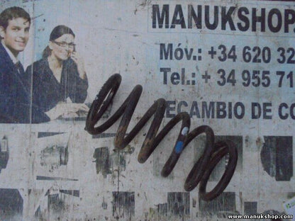 Muelles Hyundai Galloper Santa Fe Terracan