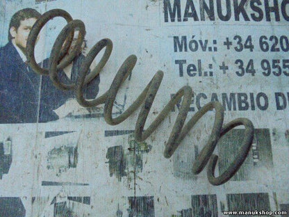 Muelles Nissan Terrano Patrol X-Trail King Cab Navara