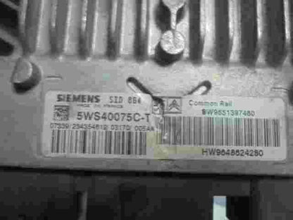 Centralita Citroen C2 SW9651397480 SW 9651397480 HW9648624280 5WS40075C-T