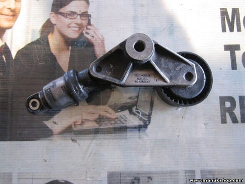 Tensor de correa SsangYong Actyon Kyron I 2.0 XDI INA F236671 F-236671