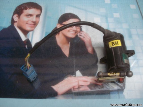 Potenciómetro pedal Opel Vectra B 24435990 24 435 990 BOSCH 0281002476