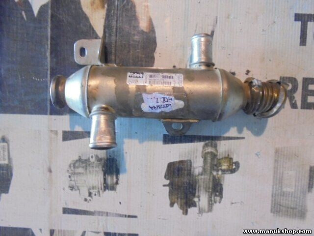 Refrigerador de gas de escape Peugeot Citroen Berlingo Xantia 206 2,0 9639874380