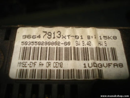 Pantalla del salpicadero Peugeot 207 96647913XT01 96647913XT-01 96647913XT