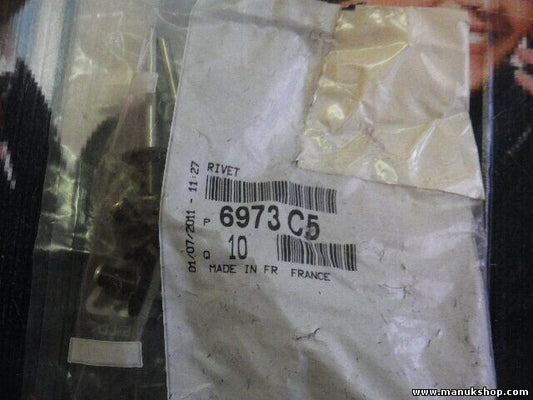 Remache Citroen Peugeot 6973C5 6973 C5