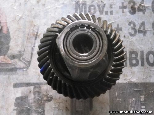 Grupo Diferencial Delantero Jeep Wrangler TJ Grand Cherokee WJ 01181 piñón 41-9